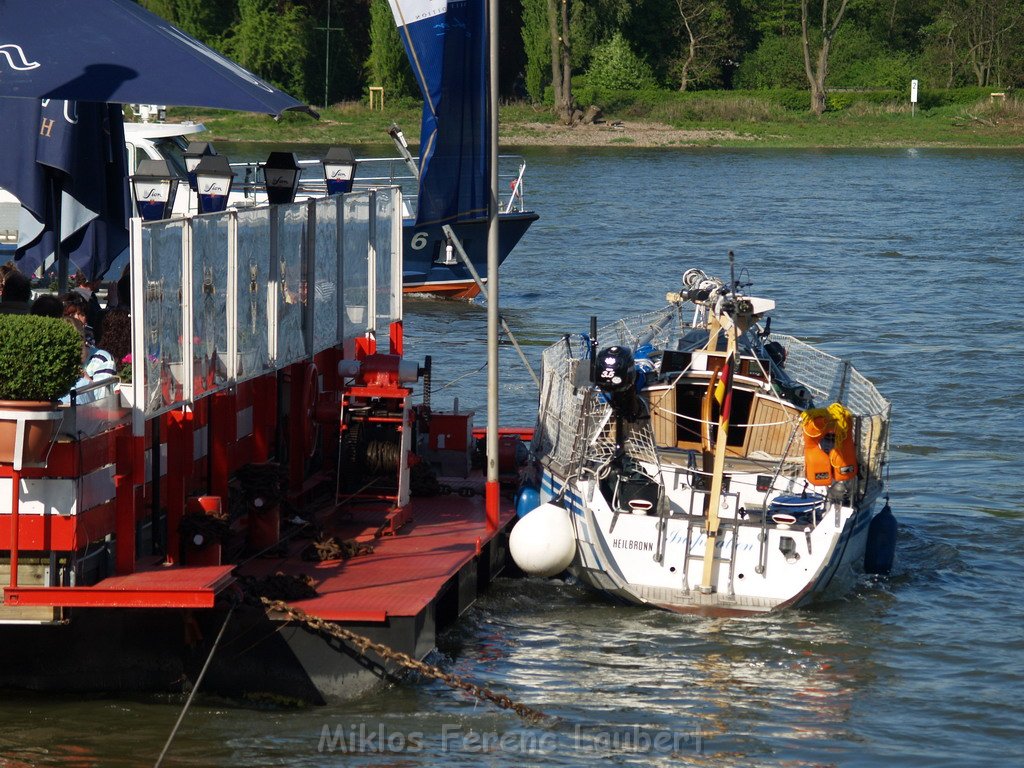Motor Segelboot mit Motorschaden trieb gegen Alte Liebe bei Koeln Rodenkirchen P089.JPG